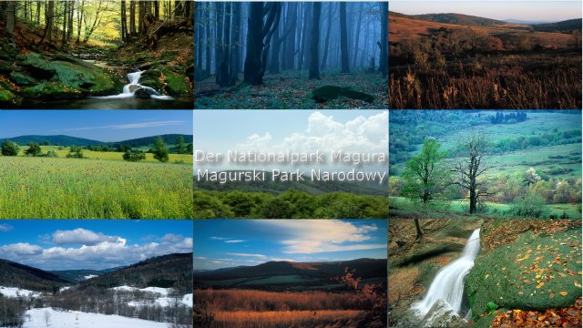 Comenius - plakaty uczniów